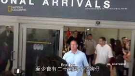 明星新闻爆料讲解视频,视频爆料背后的真相与内幕  第2张